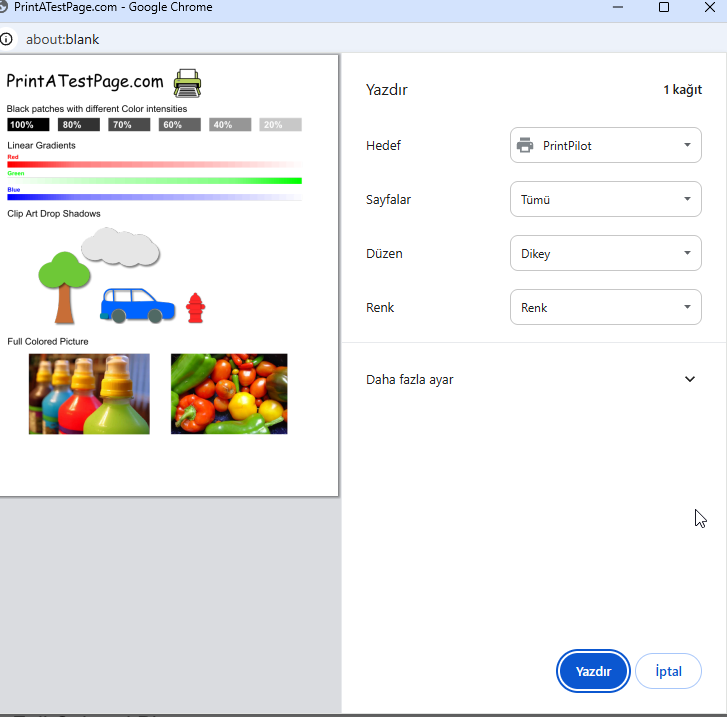 Selecting PrintPilot virtual printer in browser print dialog