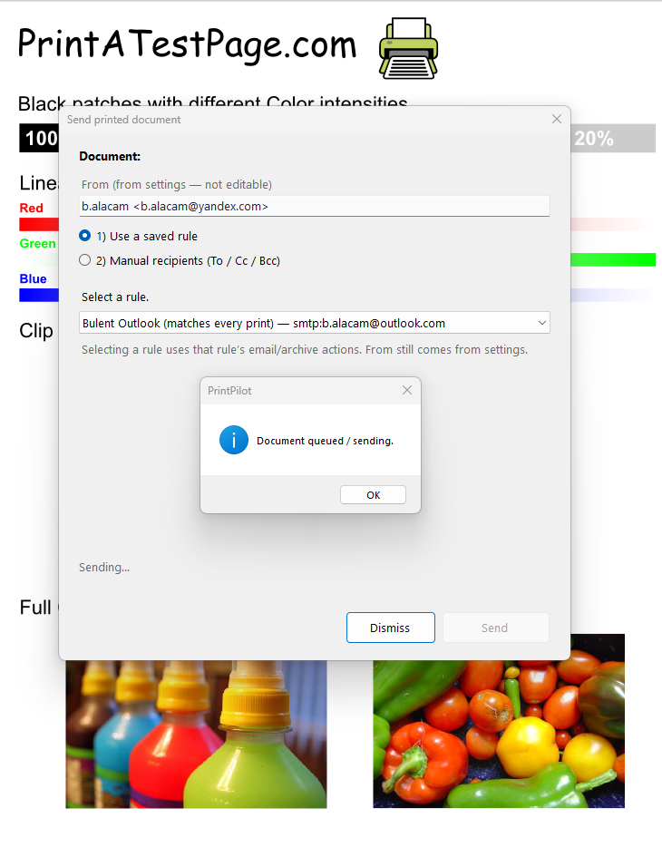 Document queued and sending confirmation in PrintPilot